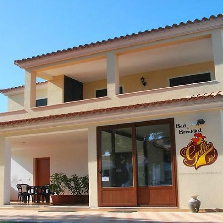 Gallo Spot Hotel Сан Теодоро Екстериор снимка